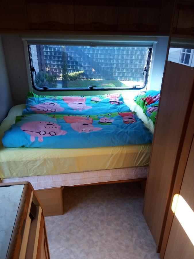 Urlaub Machen Direkt Am Irland Das Kinderparadies In Twisteden Im Grossen Garten Bei Privatleute Fur Maximal Sechs Personen Kevelaer Esterno foto